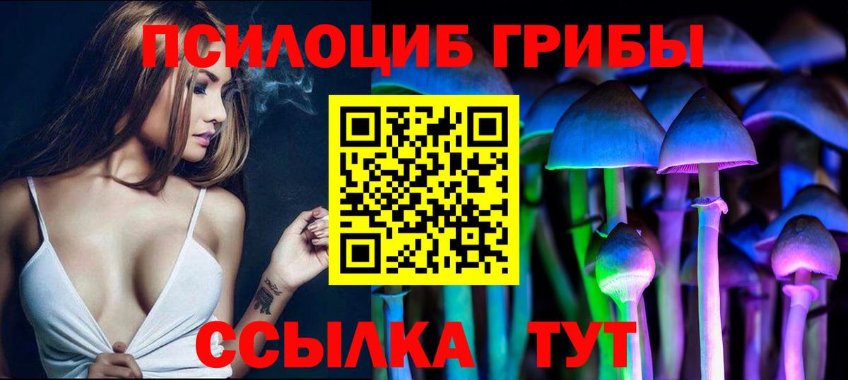 Псилоцибиновые грибы Magic Shrooms Гатчина