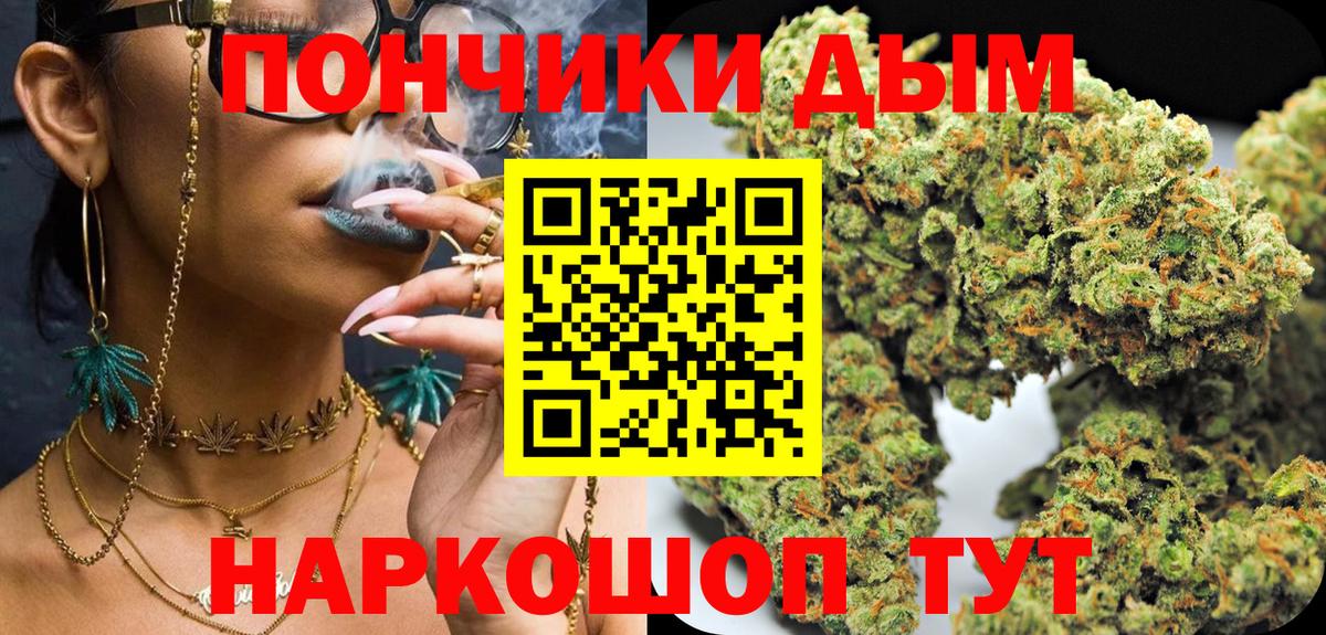 Канабис сатива Гатчина